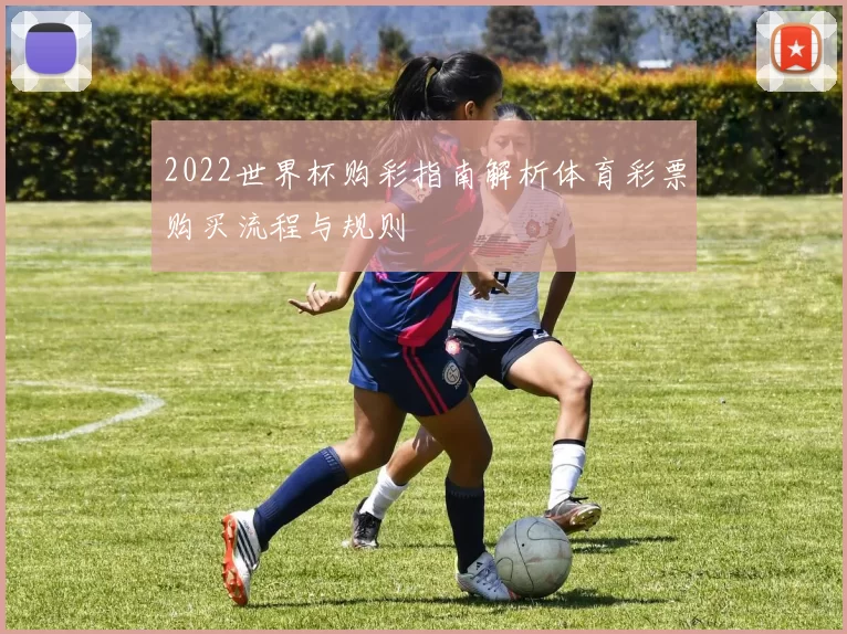 2022世界杯购彩指南解析体育彩票购买流程与规则