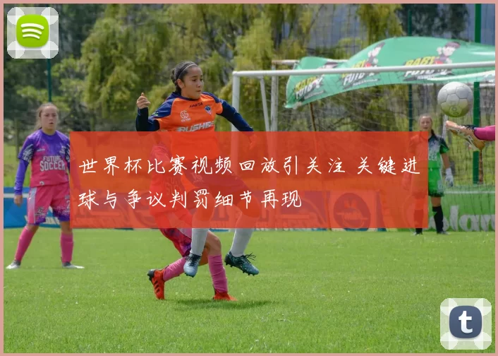 世界杯比赛视频回放引关注 关键进球与争议判罚细节再现