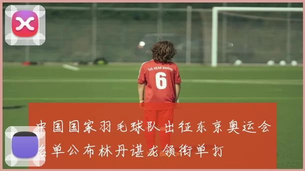 中国国家羽毛球队出征东京奥运会名单公布林丹谌龙领衔单打