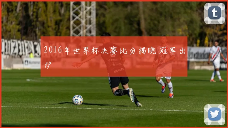 2016年世界杯决赛比分揭晓 冠军出炉
