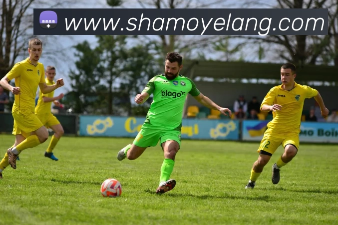 多媒体互动体验